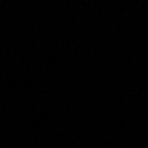 Meet your Posher, Ariel